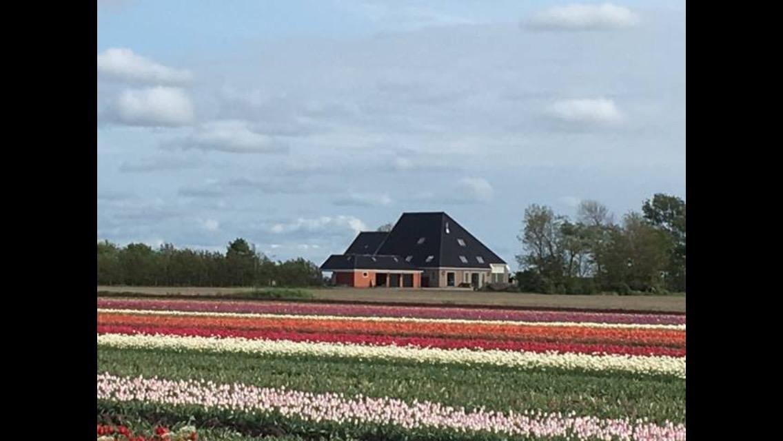 Anna Paulowna Boerderij De Waard Bed & Breakfast エクステリア 写真