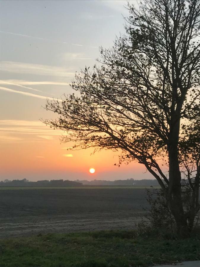 Anna Paulowna Boerderij De Waard Bed & Breakfast エクステリア 写真